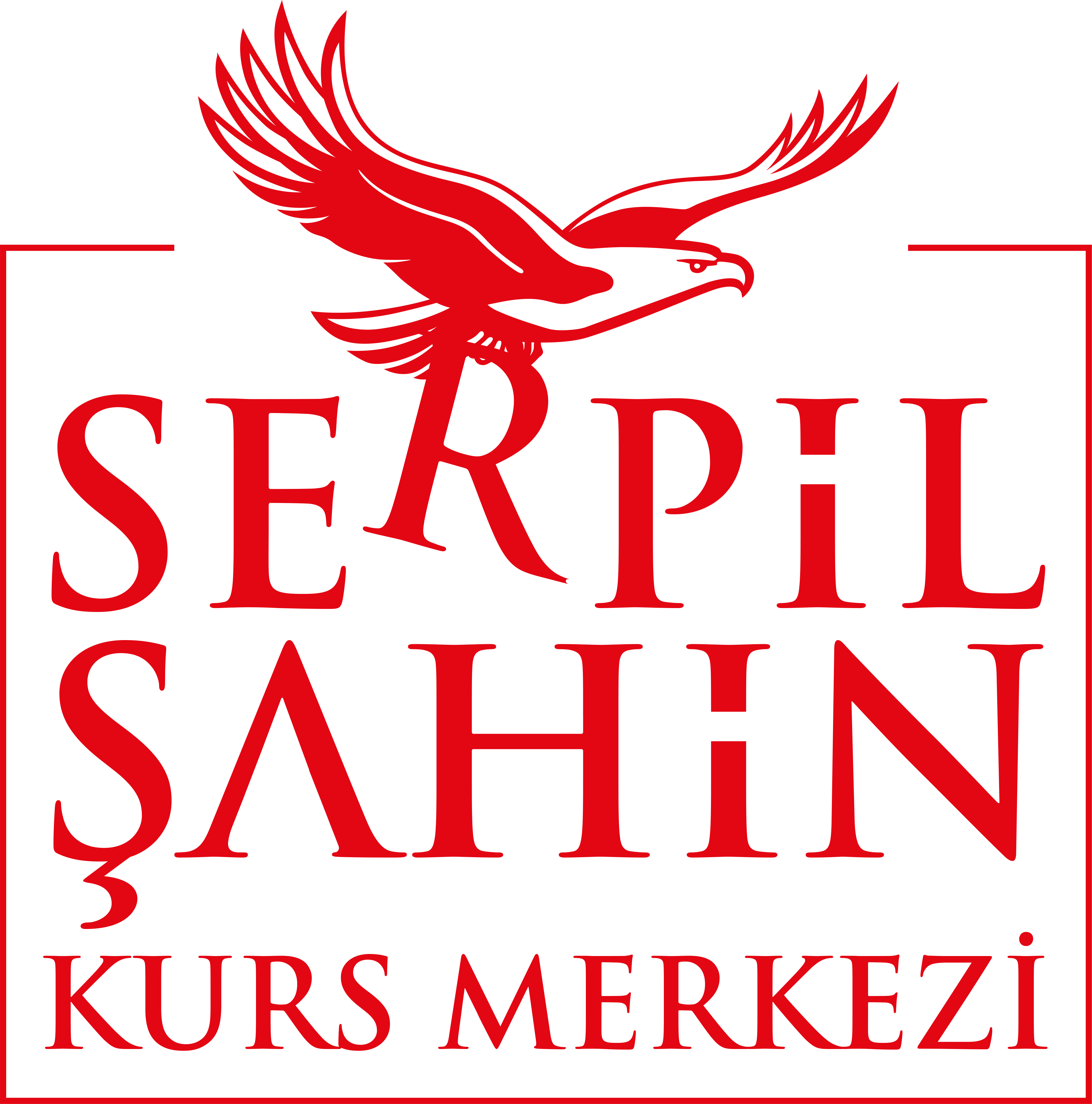 Serpil Şahin Kurumları